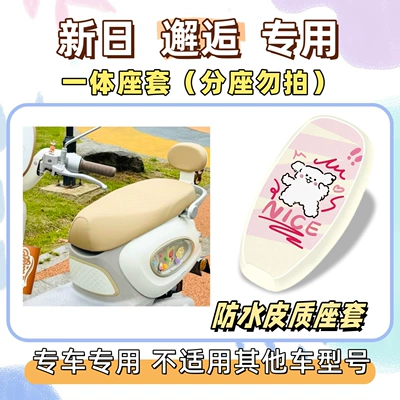 Electric vehicle foot mat | + Floor Mat, Silk Loop - waterproof-seat-cushion-cover-yb-line-dog-special-for-xinri-encounter