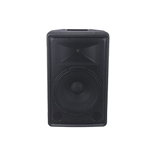 Pe15 Active Full Range Single 15 Speaker Active 15Inch Speaker