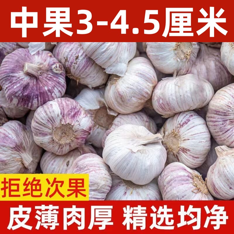 2024山東金郷紫皮ニンニク乾燥ニンニク5斤10斤新鮮多弁農家新ニンニク頭ニンニク頭|undefined