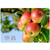 富美实 Изофиевая мочевина мочевина томатная виноградная огурца бактерии плесень Бактерии Склеротические преждевременные бактерии -пестицидные бактерии