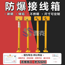 汇流点防爆接线箱 阳极地床汇流点分线箱 防护等级IP65防爆接线箱