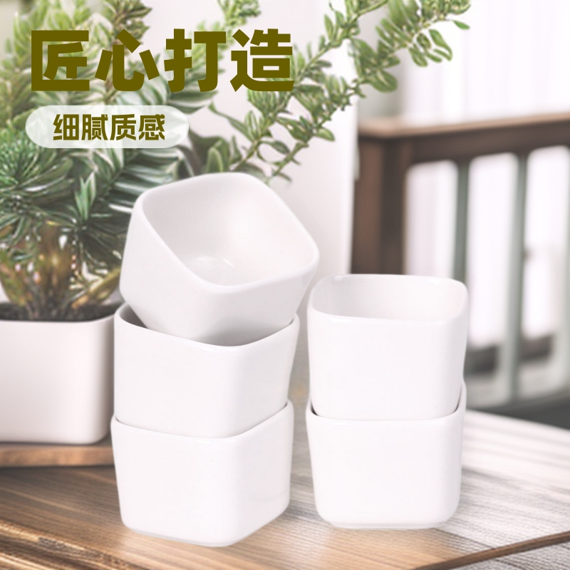 국경 간 대외 무역 간단한 흰색 창조적 인 즙이 많은 꽃 냄비 세라믹 사각형 데스크탑 zakka 냄비 작은 꽃 냄비