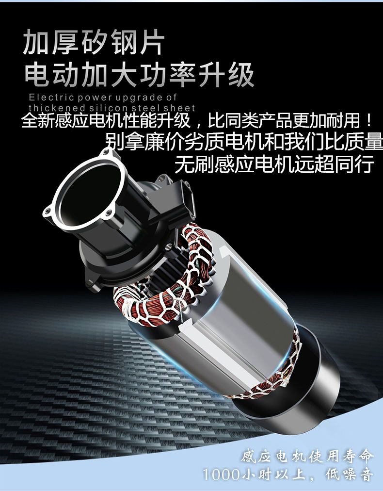 German black cat car washing machine artifact high pressure water pump high power car household 220V portable car brush gun