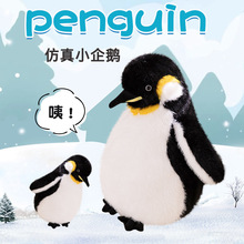 企鹅毛绒玩具小公仔布娃娃抱枕海洋馆玩偶礼物女生儿童礼物女摆件