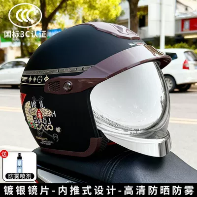 National Standard 3C Certified Electric Vehicle Helmet for Men and Women, Winter Cold Protection and Warmth, All-Season Universal Motorcycle High-End Safety Helmet (Motosiklet kaskı (dəbilqə)) - black