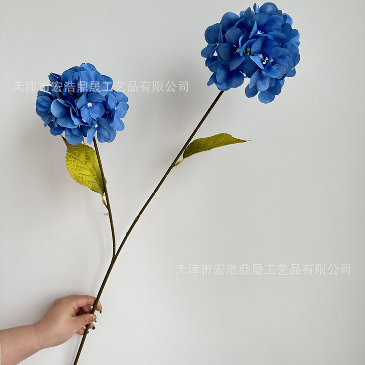 파란색 (잎없이)