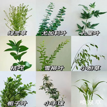 �~�����l���ֱ�l���������Y�������~��֦���ݶ��绨���~�����l