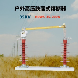 Composite outdoor high voltage drop fuse 40.5kV100A opening and closing switch fuse HRW5-35/200A