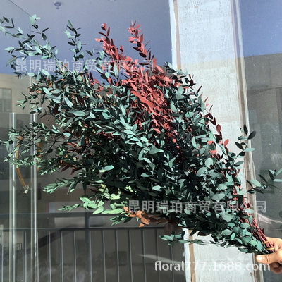 Eterno flor hoja de eucalipto eterno cobre moneda hoja de eucalipto hoja fina eucalipto manzana hoja de eucalipto hoja de mijo eterno mijo fruta