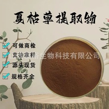 夏枯草提取物10:1水溶性粉食品级原料植物萃取药食同源粉末现货