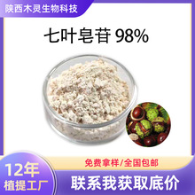 娑罗子提取物 源头工厂 现货发售 七叶皂苷98%