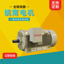 安 徽皖南电机Y2系列全铜线圈高压三相异步电动机厂家直供
