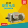 三相高压系列异步电动机