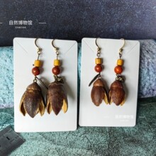 �͹�С����Ȼֲ��ɹ����h�м��[���Ʒ�����Lľ�|��ᔶ���A