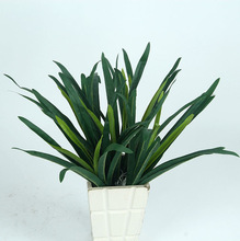 �¿�߷���ѾGֲС��?����ֲ��?�����b� �辰 ֲ��廨���