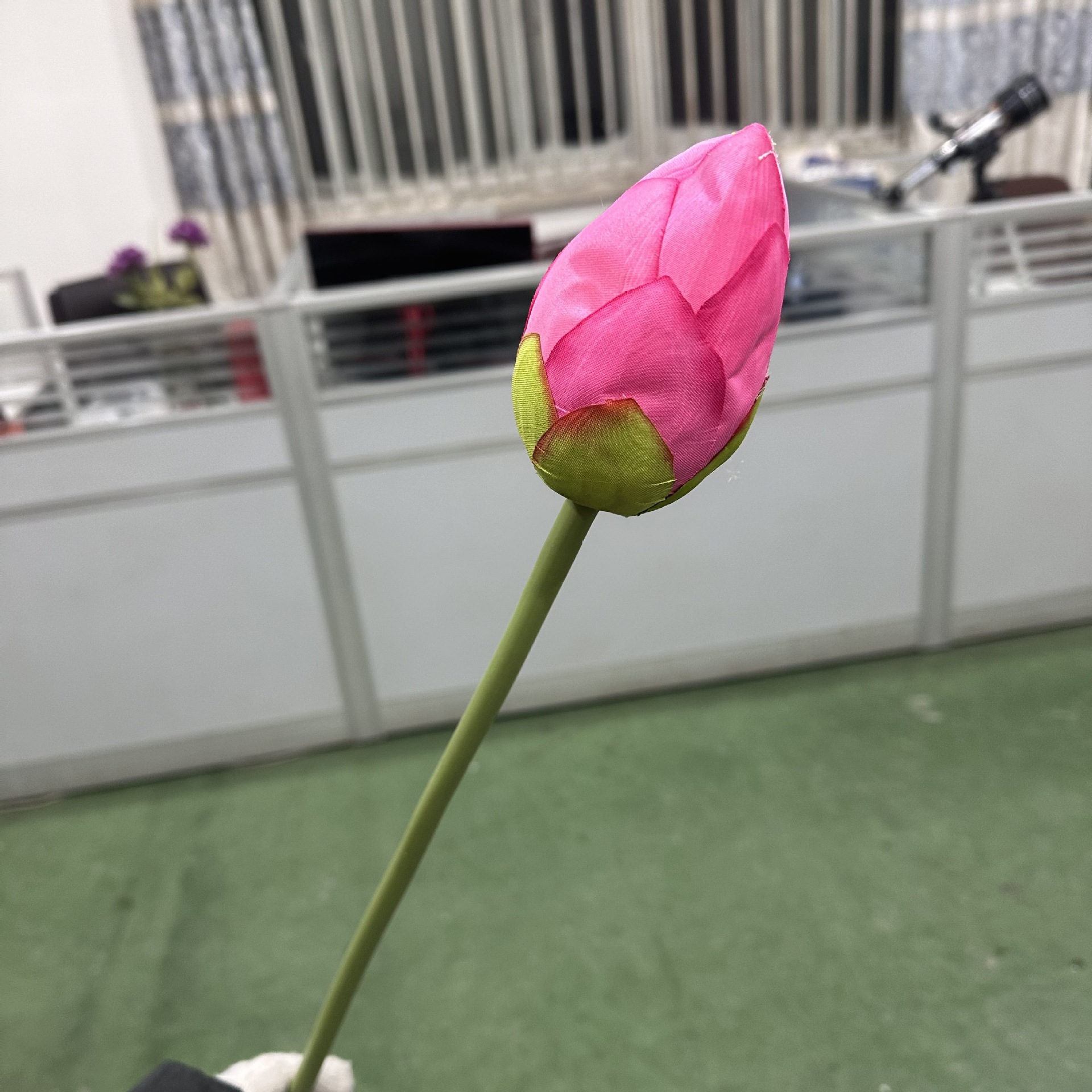 주머니 깊은 분말