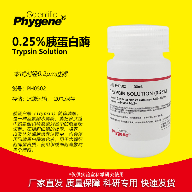 0.25%胰酶细胞消化液 不含EDTA 胰蛋白酶溶液 [PH0502 PHYGENE]