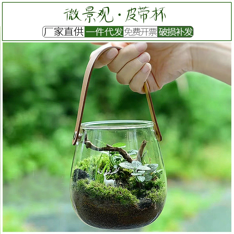 Креативная кожаная ручная стеклянная эко-бутылка чашка микро-ландшафтный гидропонный завод цветочный аппарат для сухих цветов ремесло креативный дом