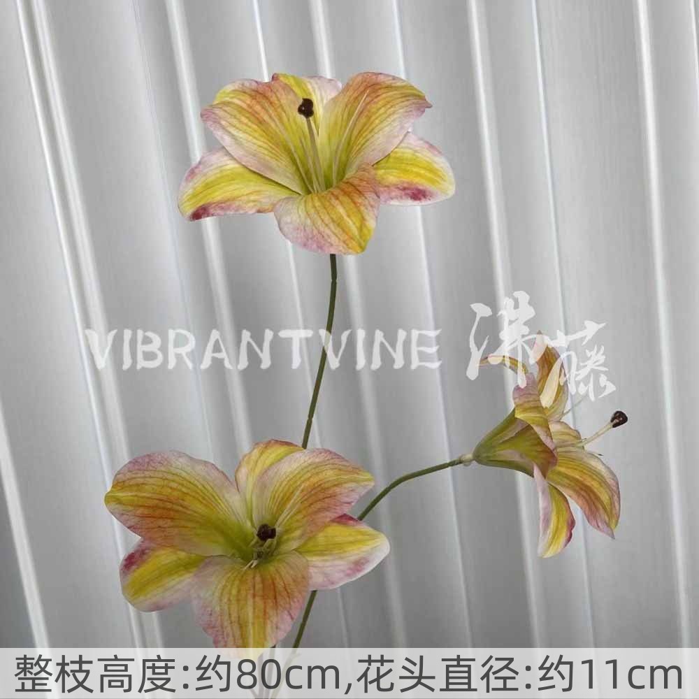 Autumn yellow Hemerocallis lily