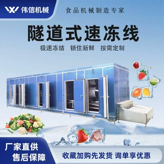 大型连续式速冻机 杨梅荔枝浆果类隧道速冻机