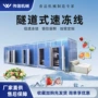 大型连续式隧道杨梅速冻机