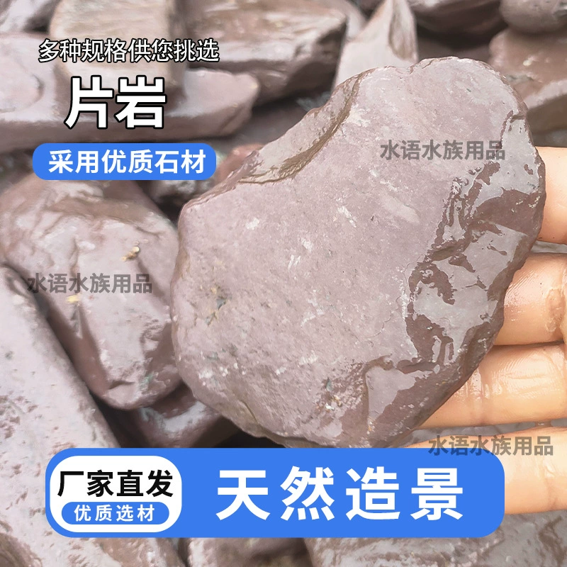 Родной аквариум-бутик-поток из сланца черепахи