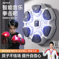 卸売り知能音楽ボクシング標的電子ボクシング機子供ボクシング訓練器材家庭用ボクシング壁標的