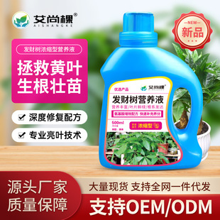 Wholesale Aishang tree rich tree concentrated nutrient solution potted balcony plant green plant flowers special flower fertilizer