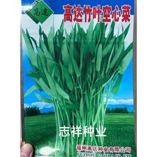 福建高达竹叶空心菜种子籽光杆尖叶柳叶空心菜籽四季蔬菜种500克