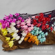 玉兰花云南干花手工DIY文艺清新花束家居装饰拍摄道具紫杆玉兰