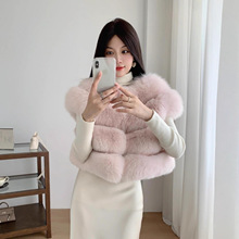 2025秋冬新款【欧尼马甲】整皮狐狸毛背毛皮草马甲背心短款女外套