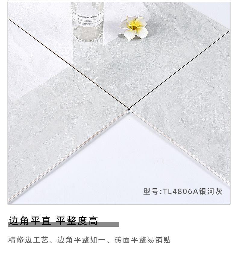 TL4806A银河灰 (3).jpg