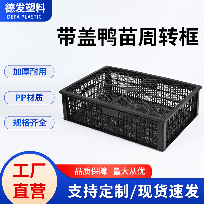 带盖塑料周转筐小鸡小鸭苗存放筐透气小动物周转筐640*440*173