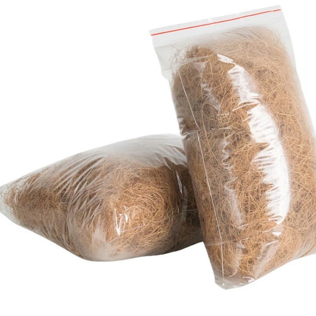 2024-07-31 12:45:21.jpg