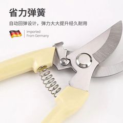 Home fruit tree pruning shears, plant pruning tool, flower and fruit cutting shears, branch pruning shears, greenery grafting garden and landscaping shears