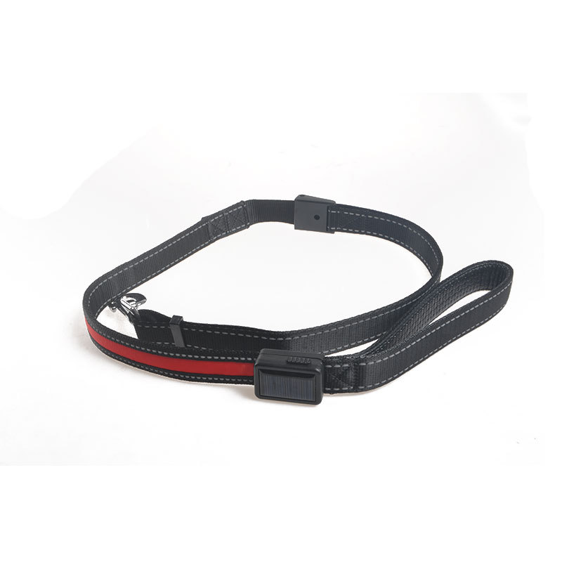 Dog Luminous Collar Image 5