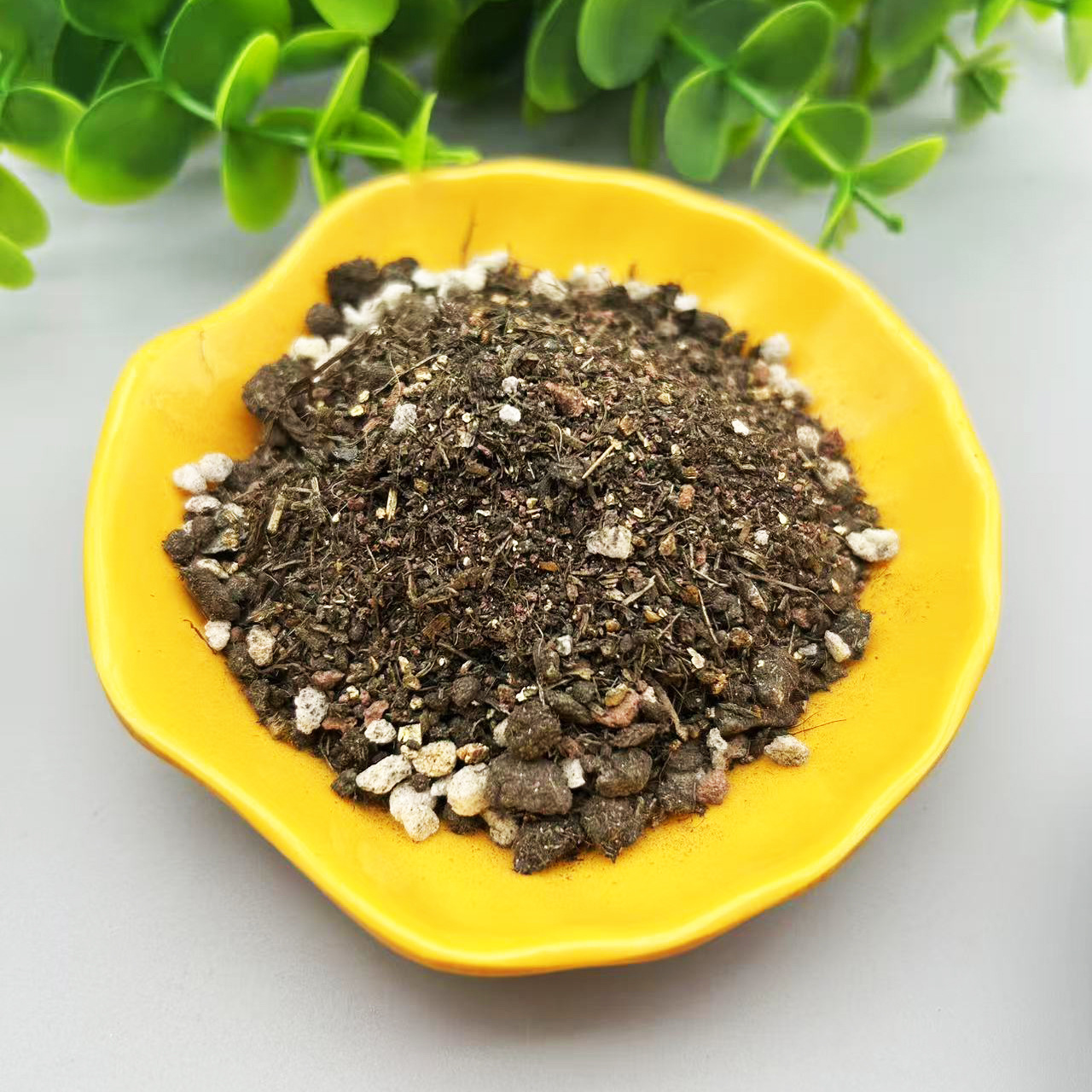 供应家庭园艺营养土 通用型植物肥料 多肉盆栽花卉种植土量大从优