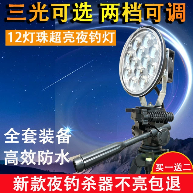 Ночник для ночной рыбалки на карася, ксеноновая лампа сверхяркая, 12V LED 200 Вт, мощный синий/тёплый свет, приманивающий рыбу
