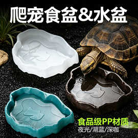 爬虫食盆水盆饮水器乌龟守宫蝎子蜘蛛仓鼠蜥蜴寄居蟹食盘