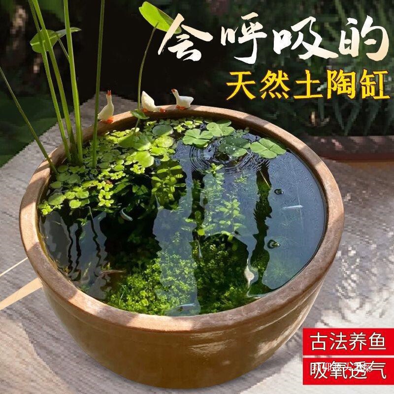 瓦鉢貯蔵セラミック養魚法セラミック大型水槽田舎の屋外水槽中庭の土と水昔ながらの古代造園|undefined