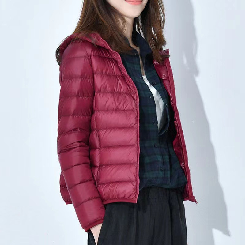 Chaqueta Corta de Algodón para Mujer Transfronteriza 2024, Estilo Coreano Ajustado, Modelo Delgado, Capa de Algodón Lluvia de Seda, con Capucha, Mayorista
