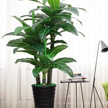 GֲԿ͏dֲ҃ȼ٘bWtlؔ쾰辰ؼٻ