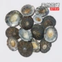 天然水族镶嵌材料笠螺