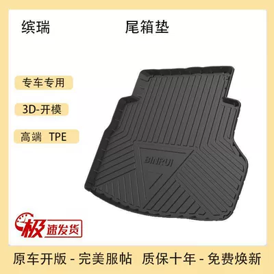Trunk Mat Plantronics Rui Xing Rui ICON Hao - 18-22-models-binrui-have-mesh-pockets-on-the-left-side-tpe-upgraded-model