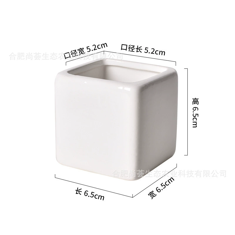 Керамический цветочный горшок, простой белый декор для интерьера, настольное украшение, горшок для растений, контейнер для суккулентов, минималистичный дизайн