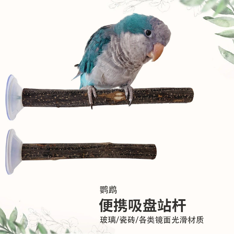 Бревенчатый попугай станция столб Интерактивная тренировка присоски птицы столб лапки