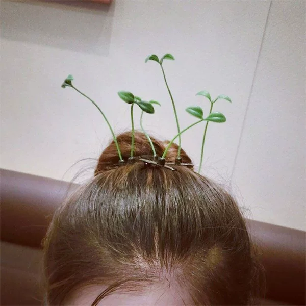 Small Grass Hairpin Head Grass Douyin Same Style Cute Artifact Bean Sprout Card Live Broadcast Room Props Funny Creative Headwear