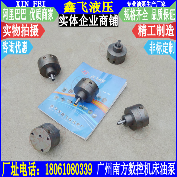 CN6250B双向摆线润滑油泵 广州南方机床厂G-CNC6150B数控车床油泵