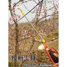 ���������滨��������ƻ��ƻ����⨺��ڷ�ӣ�����������ڷ�⨺���