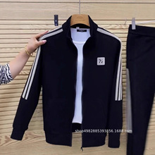 春秋男士薄款休闲卫衣运动外套立领口袋长袖运动拉链男女同款夹克